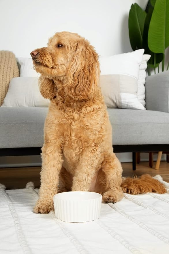 Waggo Ripple Ceramic Dog Bowl for Medium and Large Breeds - Modern with Matte Finish, Heavyweight Durable Pet Food and Water Dish Crock, Dishwasher Safe (Medium, White)