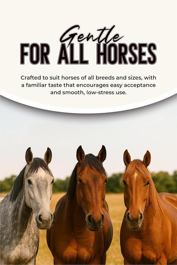 Horse Paste 1.87% – Apple Flavored Wormer – 6.08g Tube – Treats Up to 1250 lb (4 Pack)