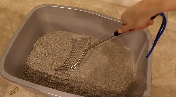 Sand Dipper Cat Poop Scooper & Chicken Poop Scooper - Rugged Big 6" Square Stainless Steel Long Handle for Home Kitty Litter Scoop & Farm Chicken Compatible Coop Scooper (Scoop)