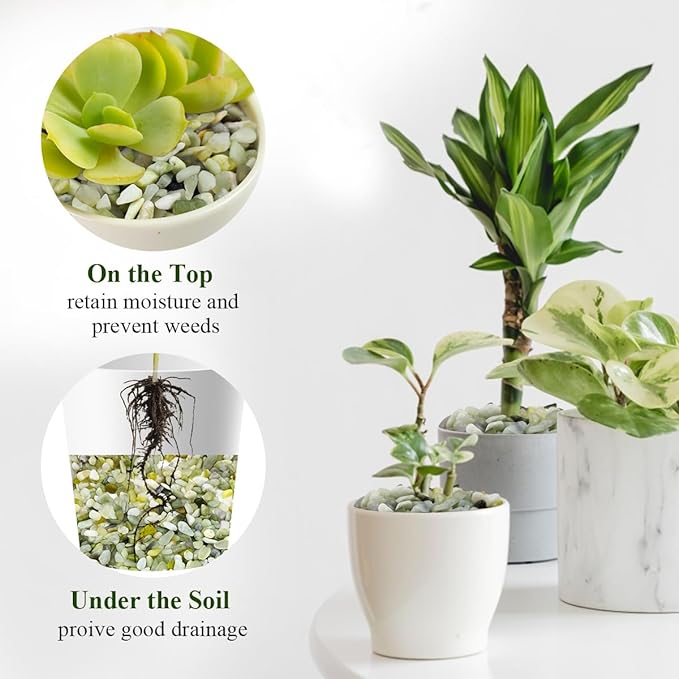 10 lbs Jade Gravel Small Pebbles for Plants, 3/8 Inch Decorative Rocks for Plants Succulents Bamboo Vases Landscaping and Potted Drainage Rocks