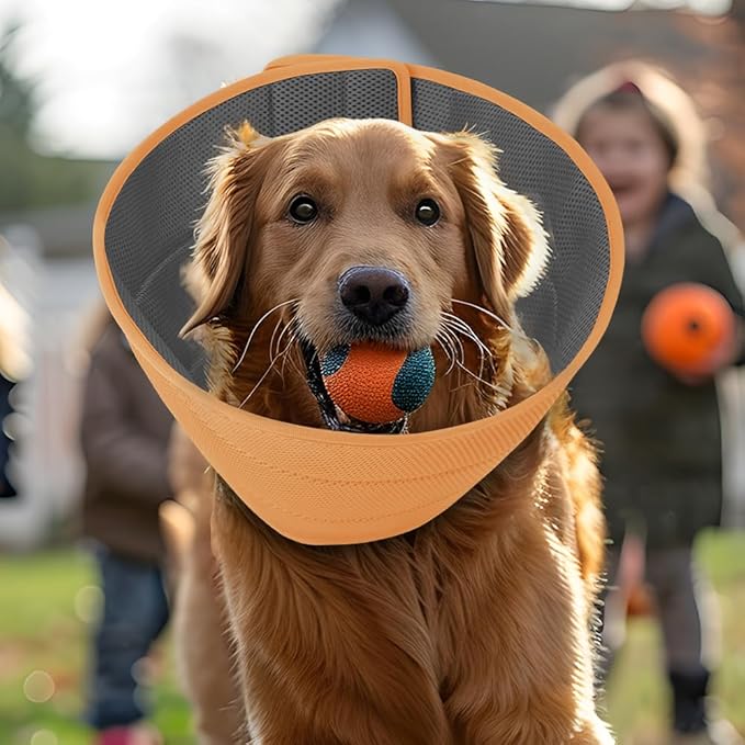 Inspack Soft Dog Cone Collar Alternative, E Cones for Small Dogs/Cat/Puppy to Stop Licking after Surgery, Comfortable All Paws Comfy Elizabethan Collars, Neuter Recovery Ecollars of Shame Alternatives