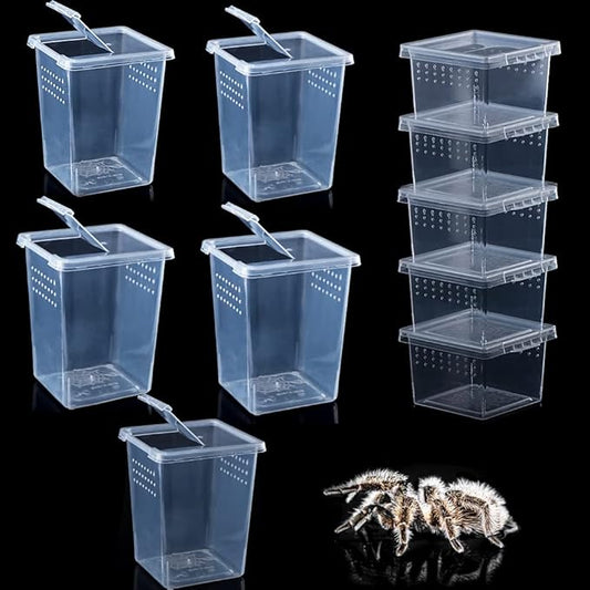 10 Pack Spider Terrariums Breeding Box Small Reptile Hatching Container Acrylic Feeding Box for Arboreal Spider Tarantula Mantis Scorpion Centipede Insect (5 High+5 Small)