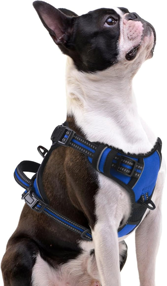 PUPTECK No Pull Dog Harness Small Sized, Adjustable Reflective Dog Harness with Handle Easy Control, Comfortable Soft Padded Pet Vest Harness for Small Dogs, Blue S