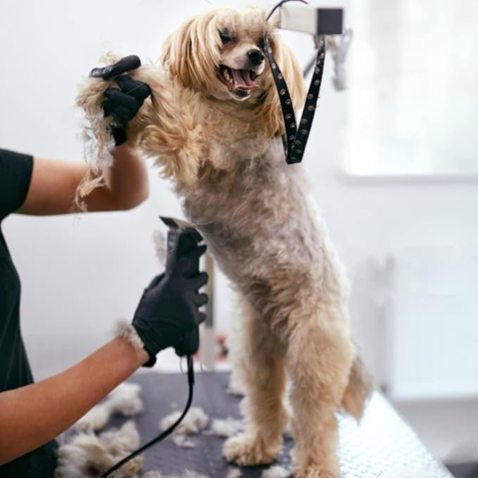 5PCS Wide Blade Dog Grooming Blades Compatible with Andis Dog Clipper,Dog Grooming Wide Blade compatiblewith Wahl km10 Clippers/Oster A5 Type Blade,for Animal Dog,Cat,Horse (30W+10W+7FW+5FW+4FW)