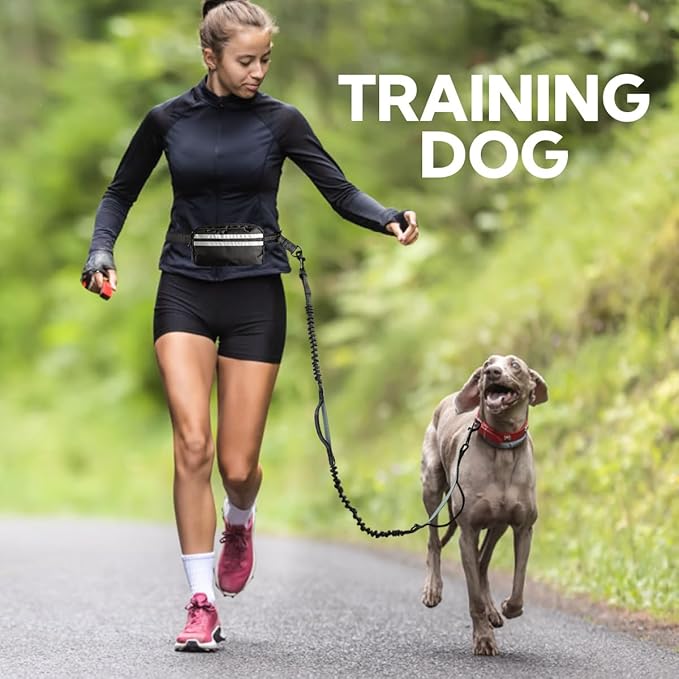 Hands Free Dog Leash with Pouch, Retractable Bungee, Double Padded Handles for Walking, Waist Leash for Medium & Large Dogs, Walking Accessories