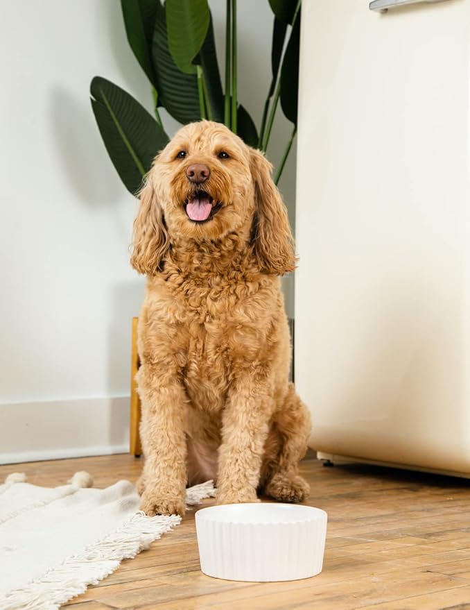 Waggo Ripple Ceramic Dog Bowl for Medium and Large Breeds - Modern with Matte Finish, Heavyweight Durable Pet Food and Water Dish Crock, Dishwasher Safe (Small, White)