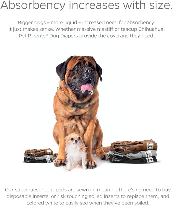 Pet Parents® Washable Dog Diapers (3pack) + Extendrs® of Durable Doggie Diapers, Premium Dog Diapers Female (X-Small, Natural)