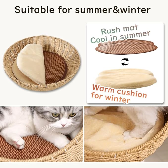 Wooden Cat Tree for Large Cats, Modern Multi-Level Condo with Natural Wood, Indoor Cat Furniture for Medium and Big Pets (Cream Y909S)