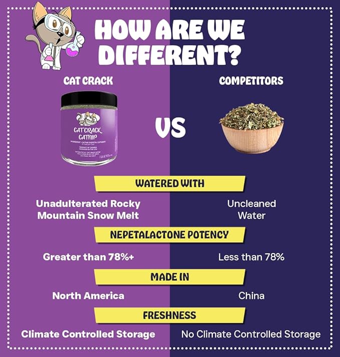 Cat Crack Catnip, Zoomie-Inducing Cat Nip Blend, North American Made & 100% Natural, Safe & Non-Addictive Catnip Treats Used to Supplement Cat Nip Toys, Spray, & Accessories (1 Cup)