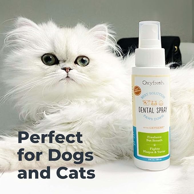 Oxyfresh Advanced Pet Dental Spray – Instant Dog and Cat Fresh Breath: Easiest No Brushing Pet Dental Solution for Dogs and Cats – Best Way to Fight Plaque, Keep Teeth & Gums Healthy, 8oz.