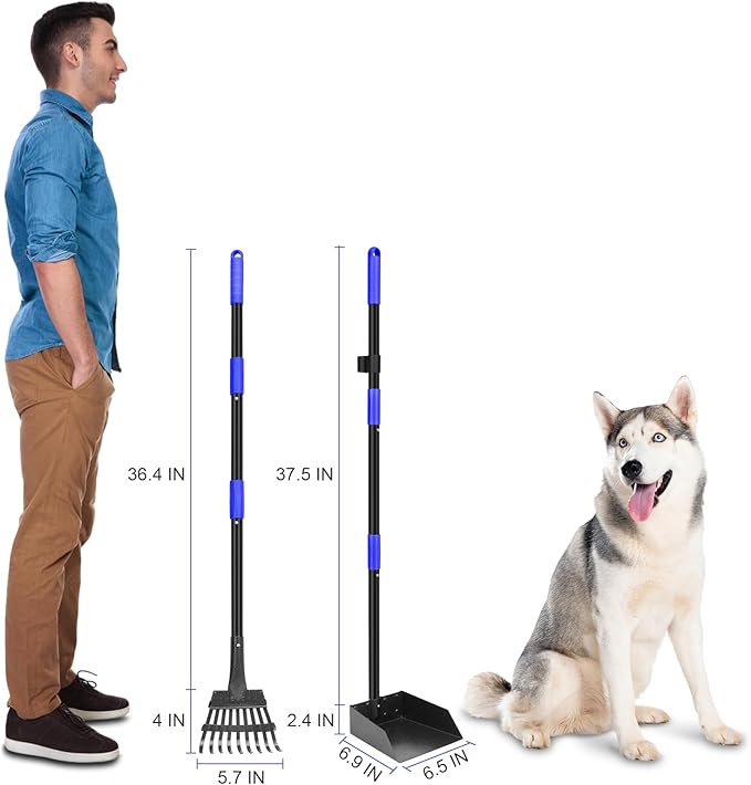Pooper Scooper, Dog Pooper Scooper Tray and Rake Set with Adjustable Stainless Steel Long Handle for Large Medium Small Dogs (Blue)