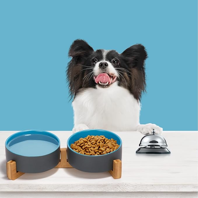 SPUNKYJUNKY Ceramic Dog and Cat Bowl Set with Wooden Stand, Modern Cute Weighted Food Water Set for Small Size Dogs (13.5OZ) & Medium Sized Dogs (28.7OZ) & Cats (1.7 Cups, 2 × Blue-Grey)