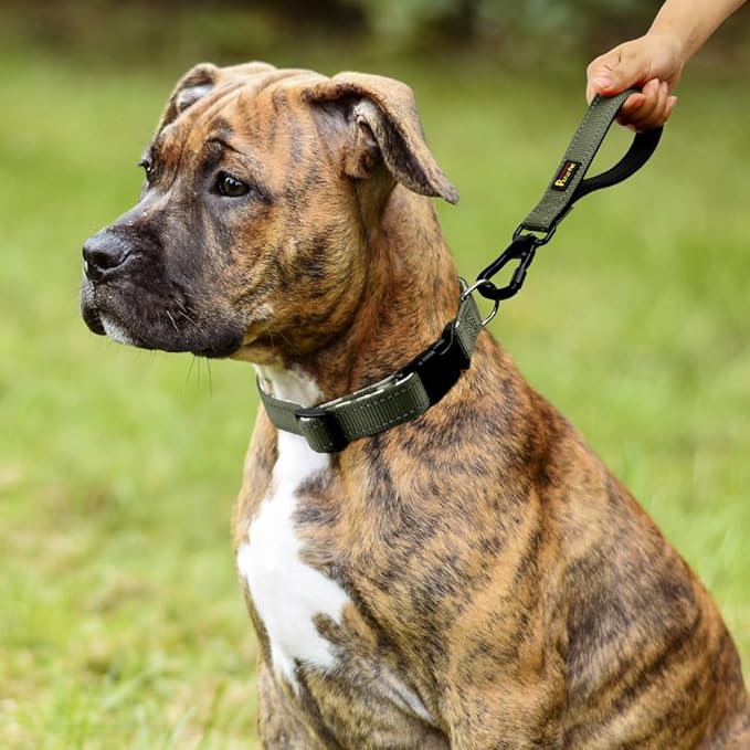 PLUTUS PET Short Dog Leash, Reflective Nylon Padded Handle, Strong Traffic Leash with Carabiner Clip, Perfect for Large or Medium Dogs (10”，Ranger Green)