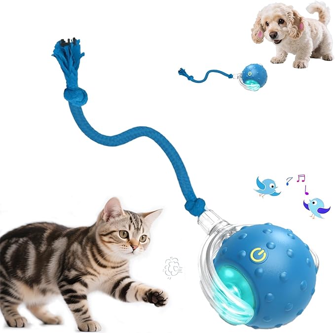 Interactive Cat Toys Ball - 2025 New Gen with Smart Obstacle Avoidance,Bird Chirps & Auto Wake-Up,Includes 1 Speedy Tail 2.0 Ropes, Ideal Kitten Toys for Bored Indoor Cats (Blue)