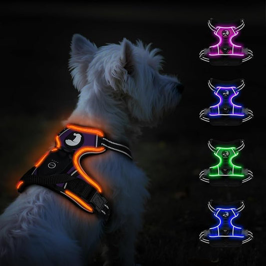 Taglory Light Up Dog Harness, Rechargeable No Pull Dog Vest with 3 Lightning Modes, Reflective Dog Harness with 2 Leash Clips & 4 Adjustable Slide Strips for Small Dogs, Purple-Orange, S