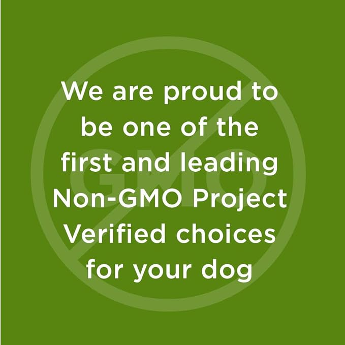 Peanut Butter & Carob Chips Dog Treats – Healthy, Crunchy, Vegan Biscuits with Whole & Real Ingredients – All Natural & USA‐Baked, 4 Pound Bag