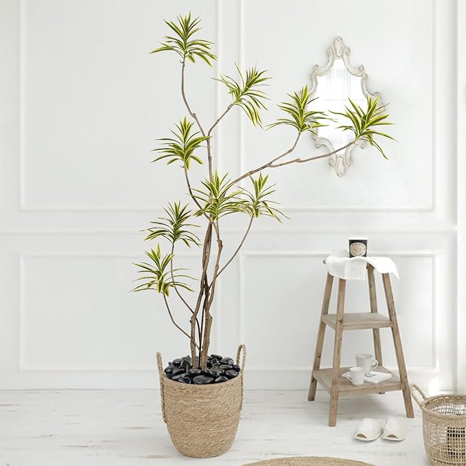 10 lbs Black Pebbles - 2-3 inch Decorative River Stones for Plants, Aquarium, Fish Tank, Outdoor Garden Landscaping