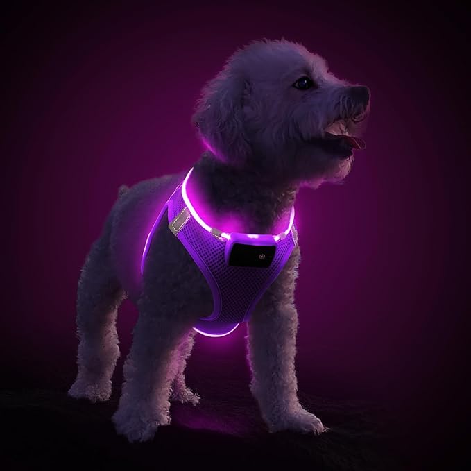 PceoTllar Light Up Dog Harness, LED No Pull Reflective Dog Harness, Flashing Lighted for Night Walking - Small/Medium, (Purple,M)