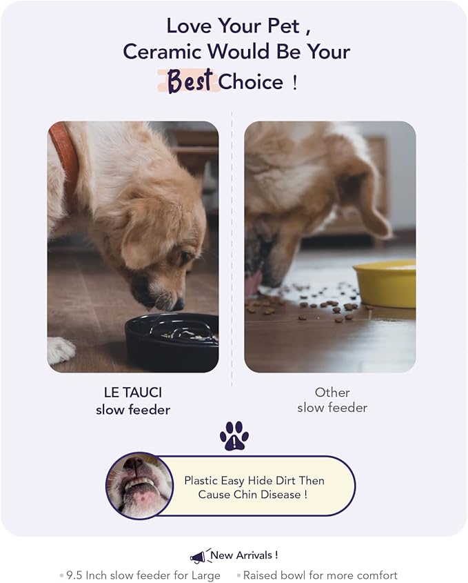 LE TAUCI PET Dog Slow Feeder Bowl Ceramic,3 Cups Puzzle Food Bowl for Small Medium Large Breed, Dog Bowls to Slow Down Eating, Maze