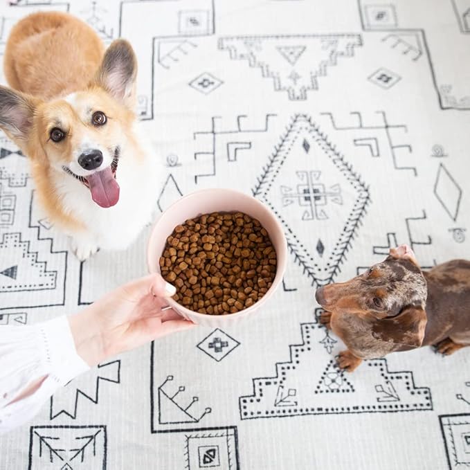 Waggo Ripple Ceramic Dog Bowl for Medium and Large Breeds - Modern with Matte Finish, Heavyweight Durable Pet Food and Water Dish Crock, Dishwasher Safe (Medium, Cloud)