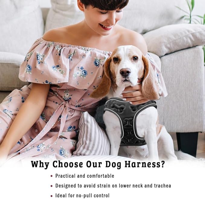 Comfort Fit Dog Harness – Adjustable No-Pull Vest for Small, Medium & Large Dogs – Soft Padded Step-in Design for Easy Control – Ideal for Walking, Running & Training – All-Weather Premium Dog Vest