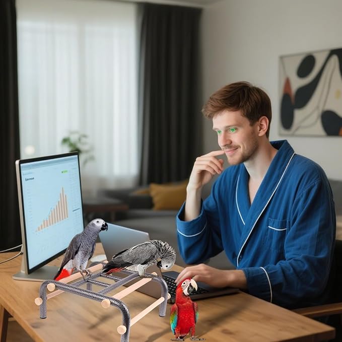 Metal Ladder Large Bird Training Perch for Fun and Exercising, No Tool Quick Install Heavy-Duty Rustproof Table Training Perch with Wooden Bars for African Grey Macaw Amazon Parrot