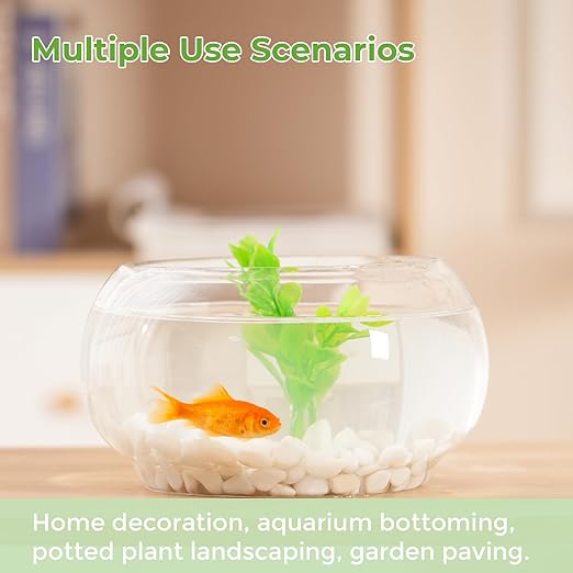 SIDONG 10 LB White River Rocks, 0.3-0.5 Inches Matte Pebbles for Indoor Plants, Aquarium Rocks Used in Fish Tank, Decorative Stones for Plants, Vases, Home Décor, Crafting, Garden Landscaping