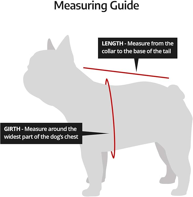 K9 Sport Sack Air 2 - Medium, Light Grey - Ideal for Dogs with 17-19” Back Length - Durable, Breathable Backpack-Style Carrier - Perfect for Walks, Short Hikes & Public Transportation