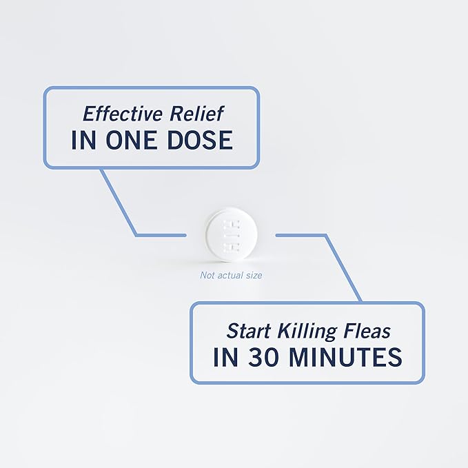PetArmor CAPACTION (nitenpyram) Oral Flea Treatment for Dogs, Fast Acting Tablets Start Killing Fleas in 30 Minutes, Dogs Over 25 lbs, 6 Doses