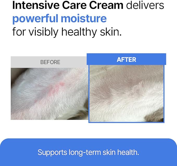 PetO'CERA Intensive Ointment- Ultimate Skin Relief & Wound Care for Dogs & Cats, Hot Spot, Rash & Scratching Soother, Heals Cracked Paws, Dry & Irritated Skin, High Moisture Rescue Balm, 20g