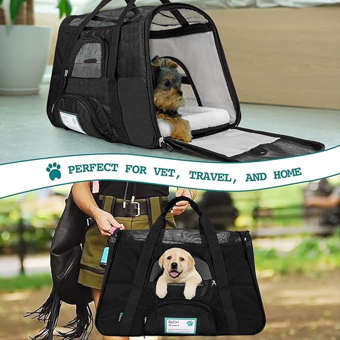 PetAmi Airline Approved Pet Carrier for Cat, Soft Sided Dog Carrier for Small Dogs, Cat Travel Supplies Accessories for Indoor Cats, Ventilated Pet Carrying Bag Medium Large Kitten Puppy, Large Black