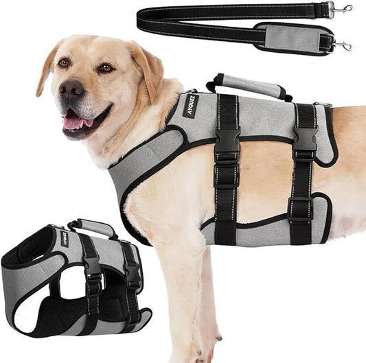 Ayquez Dog Lift Harness with Storage and Transport Bag, Dog Harness with Handle for Lifting & Hip dysplasia, arnés para Perros pequeños, pechera para Perros (Gray, L)