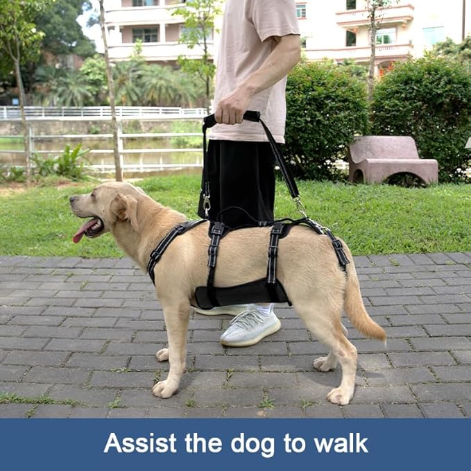 Coodeo Dog Lift Harness, Support & Recovery Sling, Pet Rehabilitation Lifts Vest Adjustable Breathable Straps for Old, Disabled, Joint Injuries, Arthritis, Paralysis Dogs Walk (Black,XL)