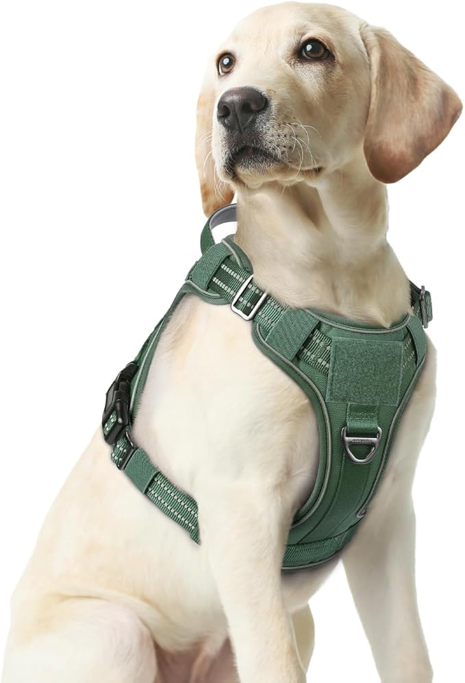 rabbitgoo Dog Harness Medium Sized No Pull, Tactical Service Pet Vest with Molle and Control Handle, Adjustable and Reflective Military Harness for Easy Walking and Training, Green, M