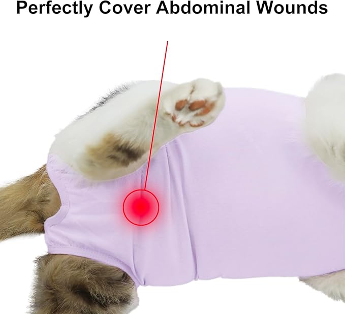 Cat Recovery Suit, Surgical Recovery Clothes for Abdominal Wound or Skin Disease, Cats Onesie After Surgery and Spay, E-Collar Alternative Pajama Suit (Purple, Large)