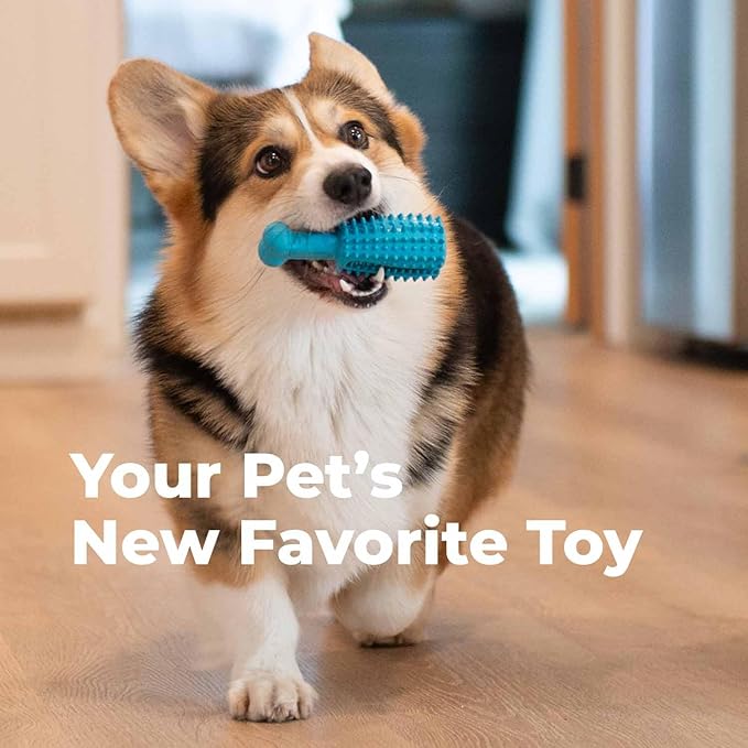 Oxyfresh Dog Dental Chew Toy - Best Durable Rubber Dog Toy & Puppy Teething Toy - Helps Remove Plaque, Cleans Teeth & Freshens Breath Without Brushing (Small)