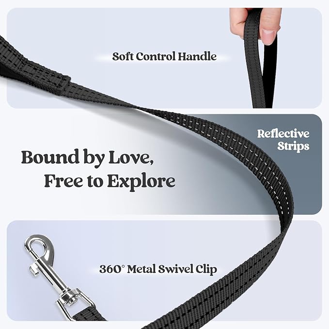 rabbitgoo Dog Harness Small Sized and Leash Set, Step in Soft Light Puppy Vest, Breathable Mesh Pet Harness, Reflective for Safe Easy Walking, Black S