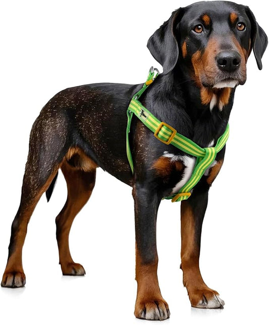 Stripe Step in Dog Harness for Small Dogs, Freedom Nylon Dog Halter Vests, Lightweight and Escape Proof Puppy Harness, Quick Fits for Small Medium and Large Dogs, Green L