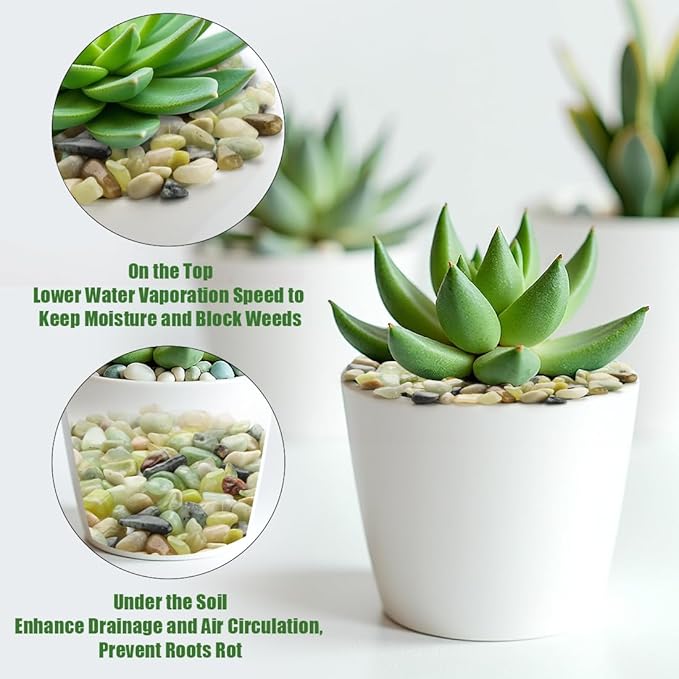 River Rocks 5 Lbs, 3/8 Inch Jade Pea Gravel, Rocks for Plants Indoor, Stones for Garden Landscaping, Vase Filler, Smooth Gravel Filler for Succulents, Cactus, Fish Tank and Vases