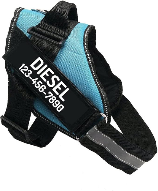 PawPawify Custom No Pull Dog Harness with Name and Phone Number, Heavy Duty Personalized Pet Vest to Prevent Tugging, Pulling, or Choking, Training and Walking (SkyBlue, XXL (85-140 LBS))