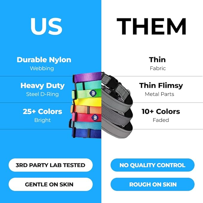 Blueberry Pet Essentials X-Small Dog Collar in Mint Blue | Adjustable & Eco-Friendly Durable Nylon Strap | Classic Collar for X-Small Dogs, Boy & Girl Pets