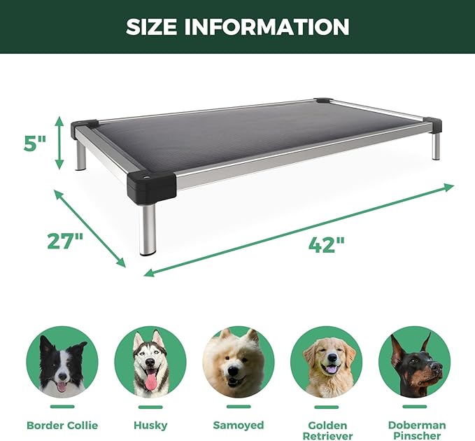 FXW TitanNest Chew-Proof Elevated Dog Bed, Raised Cot for Indoor/Outdoor/Camping Use, Durable & Washable Padded Pet Bed for Medium Dogs, 42.0" L x 27.0" W x 5.0" H, Gray