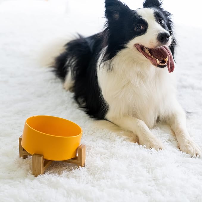 SPUNKYJUNKY 15° Slanted Ceramic Dog and Cat Bowl with Wooden Stand, Tilted Bulldog Food and Water Bowl No Slip Non-Spill for Cats Medium Dogs Big Face Pets 28.7 OZ (3.6 Cups, Yellow)