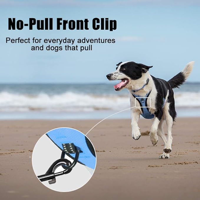 PoyPet No Pull Dog Harness, Reflective Comfortable Vest Harness with Front & Back 2 Leash Attachments and Easy Control Handle Adjustable Soft Padded Pet Vest for Small to Large Dogs (Light Blue,XS)