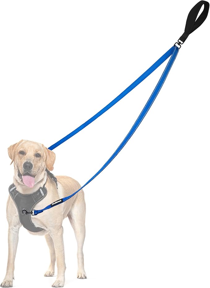 PetBonus Two Point Control Dog Leash, Works with No Pull Harnesses, No Tangle Dog Training Leashes, No Pull Padded and Reflective Walking Lead, Converts to Single Leash for Medium Large Dogs (Blue)