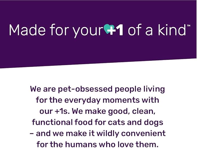 I AND LOVE AND YOU Stir and Boom Dehydrated Freeze Dried Raw Dog Food - Beef - Grain Free, Real Meat, No Fillers, 1lb Bag