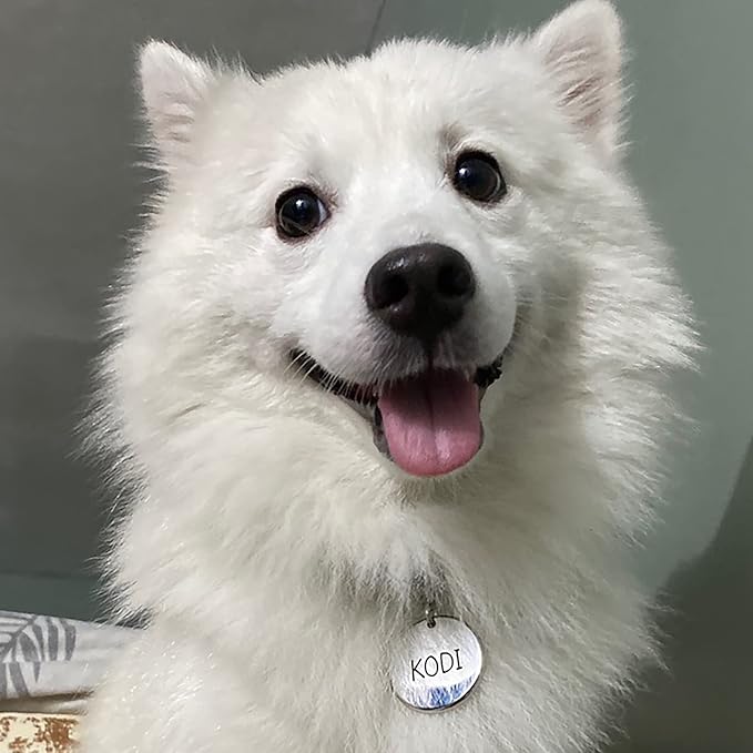 Premium 316 Surgical Grade Stainless Steel Personalized Dog & Cat ID Tags - Fun Shapes for Sporty Outdoor Pets - Custom Engraved Name & Info for Collar Accessories & Pet Necklaces Round