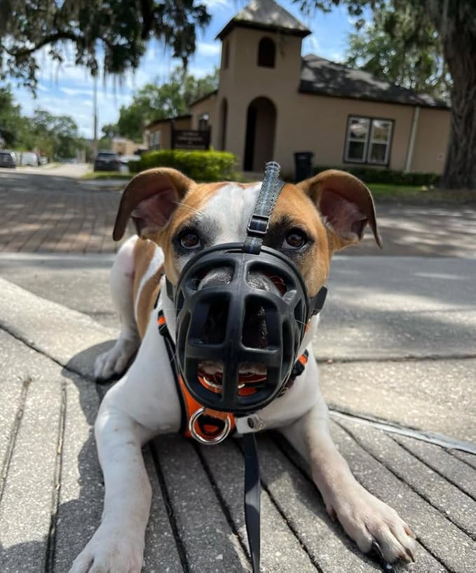 Mayerzon Dog Muzzle, Breathable Basket Muzzles for Small, Medium, Large and X-Large Aggressive Dogs Beagle German Shepherd Doberman, Cage Mouth Guard Stop Biting Chewing for Grooming Training