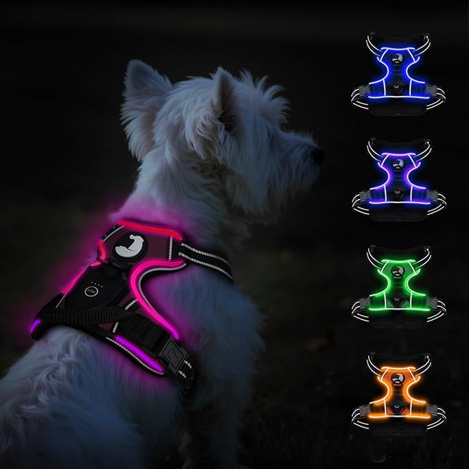 Taglory Light Up Dog Harness, Rechargeable No Pull Dog Vest with 3 Lightning Modes, Reflective Dog Harness with 2 Leash Clips & 4 Adjustable Slide Strips for Small Dogs, Hotpink-Hotpink, S