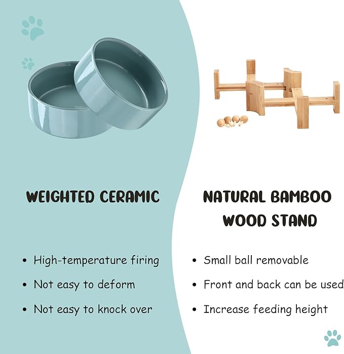 SPUNKYJUNKY 15° Slanted Ceramic Dog and Cat Bowl with Wooden Stand, Tilted Bulldog Food and Water Bowl No Slip Non-Spill for Cats Medium Dogs Big Face Pets 13.5 OZ (1.7 Cups, Light Green × 2)